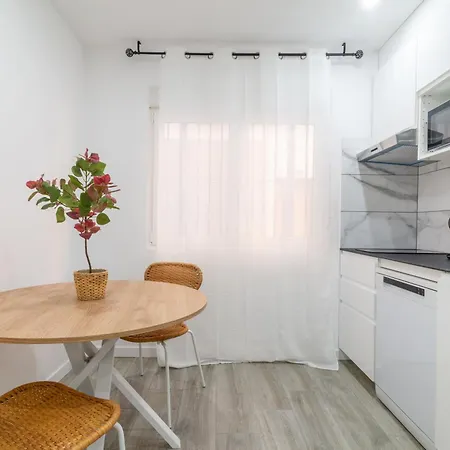 Apartment Pisos Plaza Paris