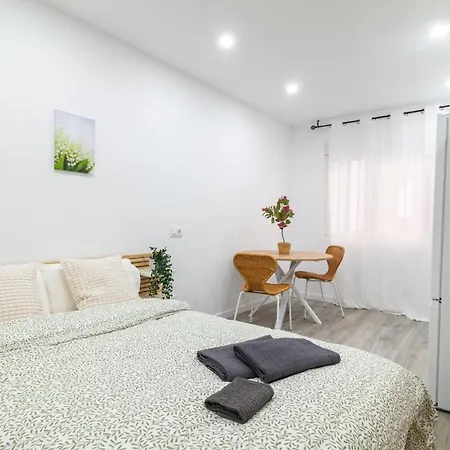 Apartment Pisos Plaza Paris *