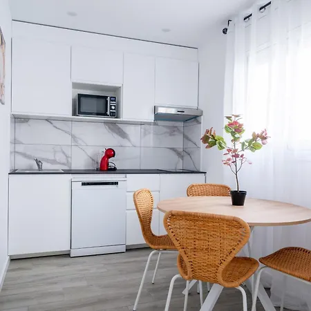 Apartment Pisos Plaza Paris *